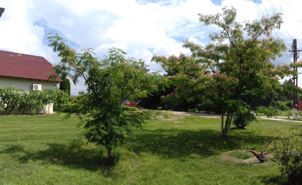 Purgly Castle, Romania, Romania